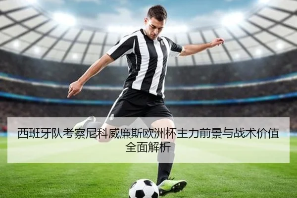 西班牙队考察尼科威廉斯欧洲杯主力前景与战术价值全面解析